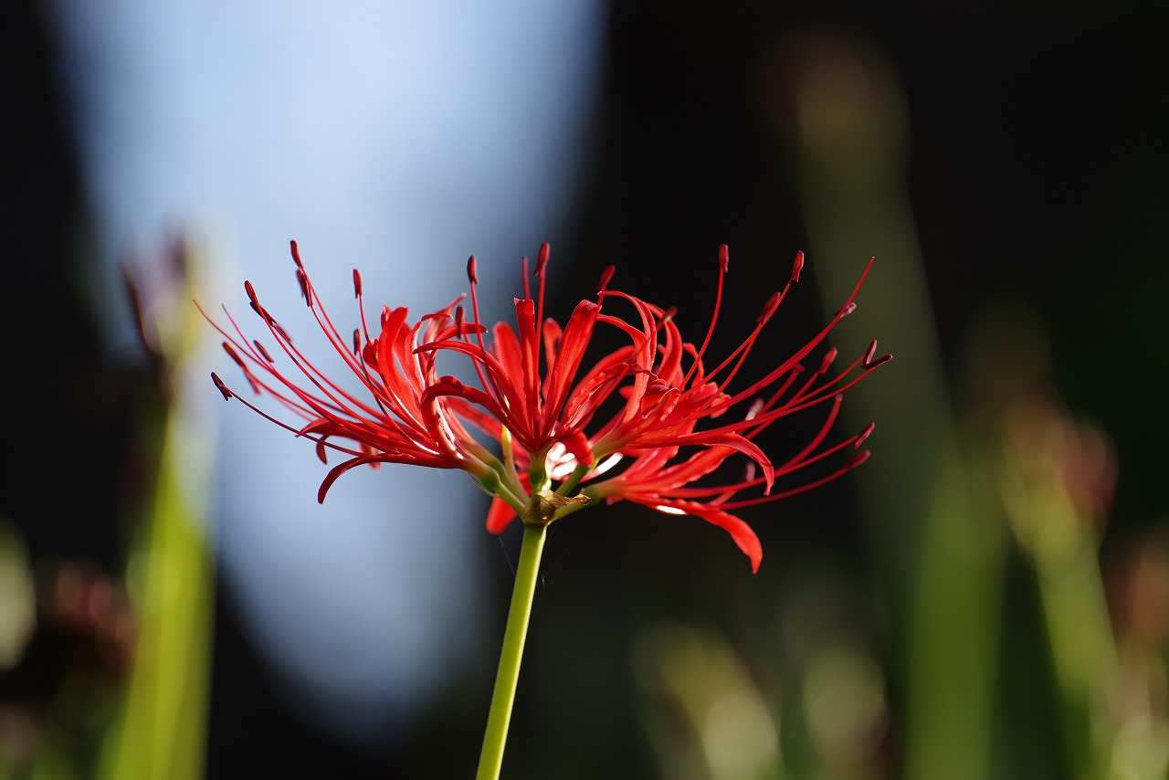 神奈川県横浜市のみなとみらい