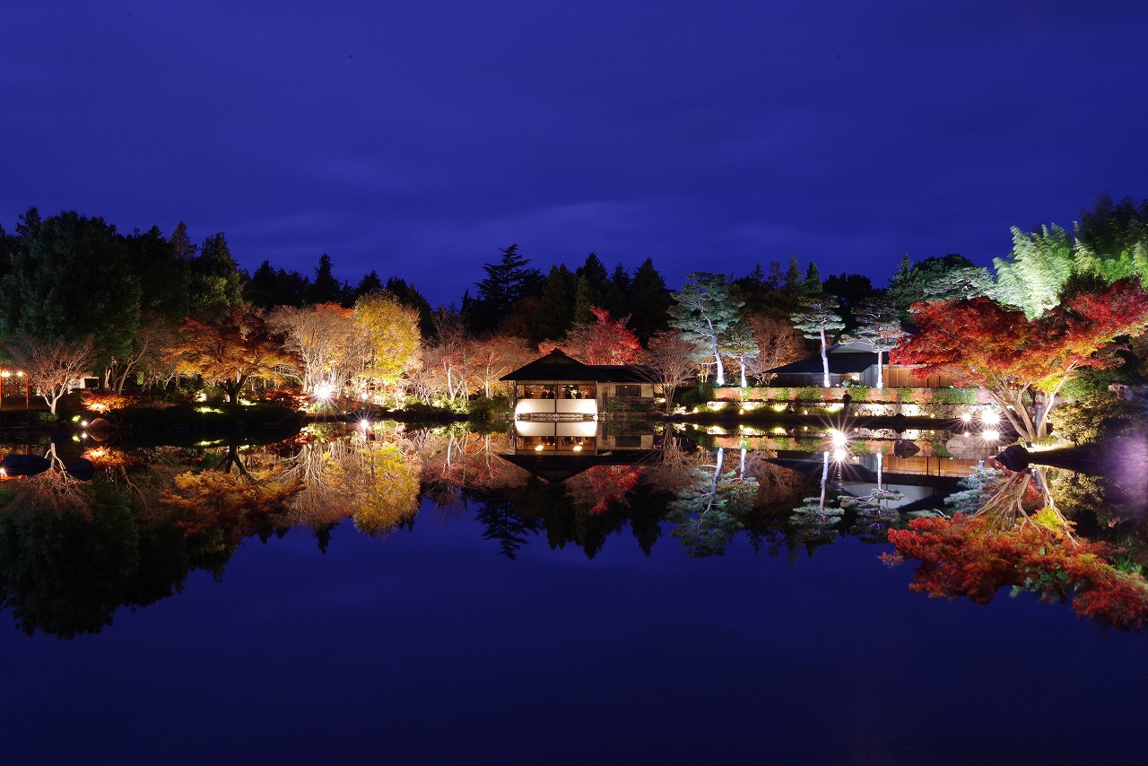 東京都の国営昭和記念公園の日本庭園の紅葉のライトアップ