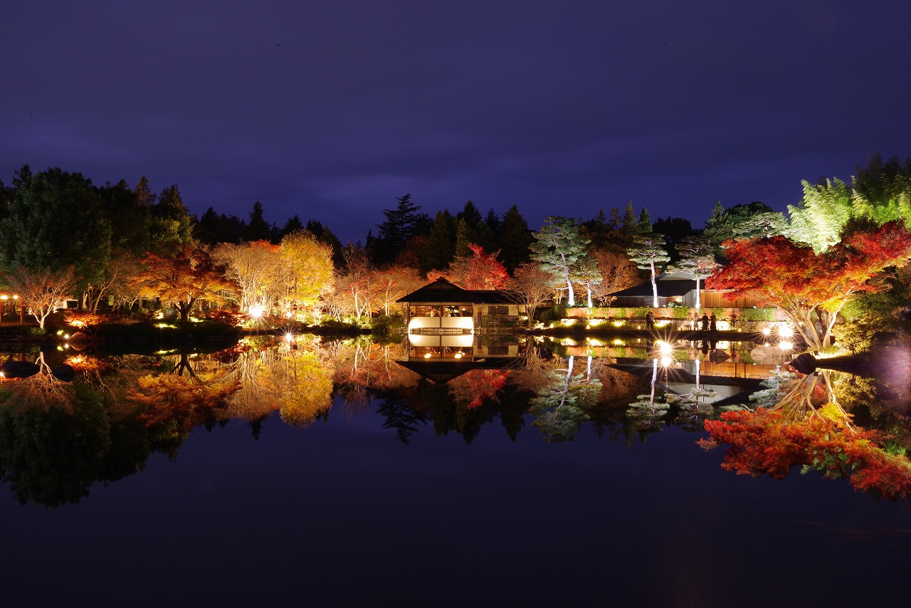 東京都の国営昭和記念公園の日本庭園の紅葉のライトアップ