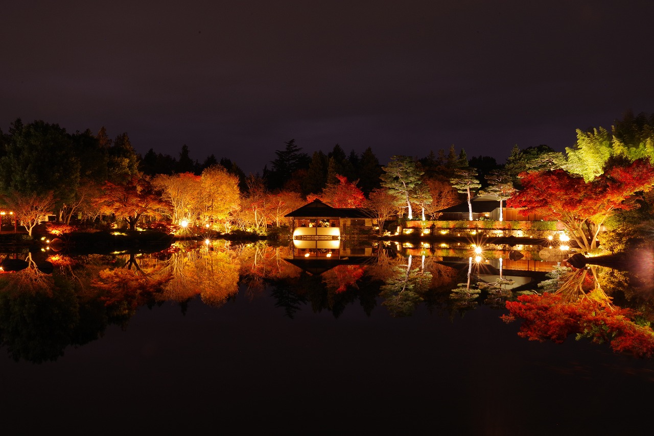 東京都の国営昭和記念公園の日本庭園の紅葉のライトアップ