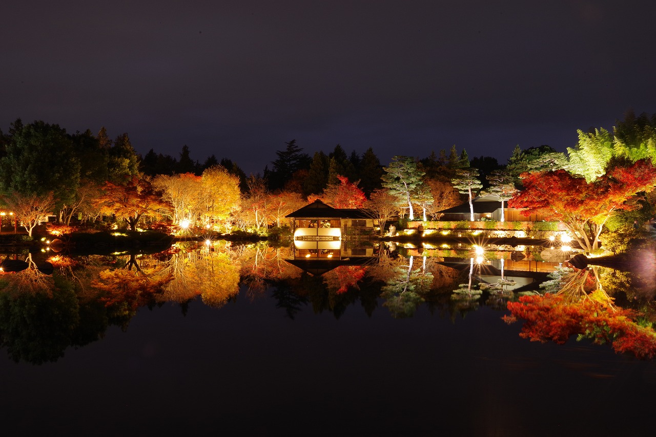 東京都の国営昭和記念公園の日本庭園の紅葉のライトアップ