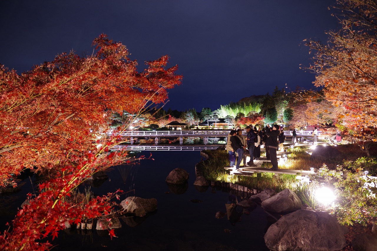 東京都の国営昭和記念公園の日本庭園の紅葉のライトアップ