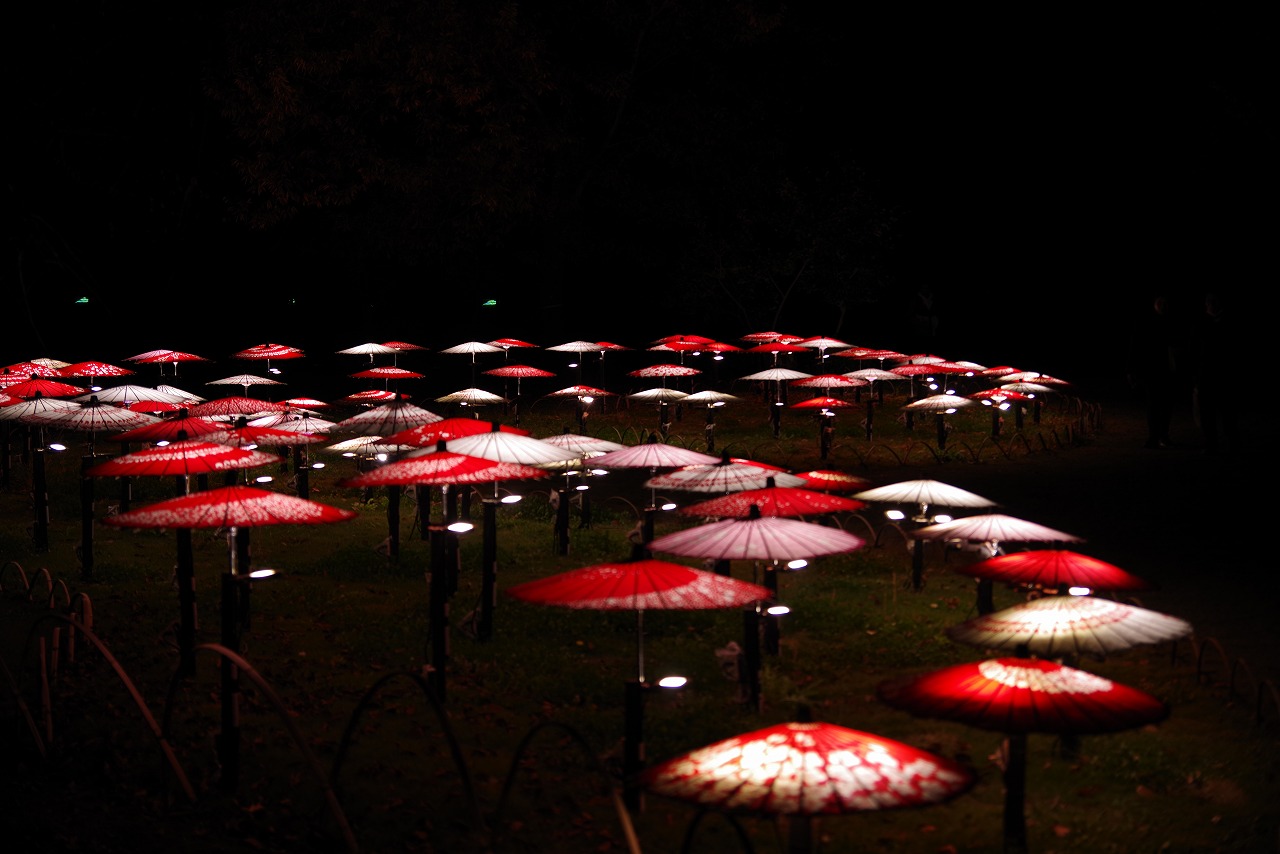 東京都の国営昭和記念公園の日本庭園の紅葉のライトアップ