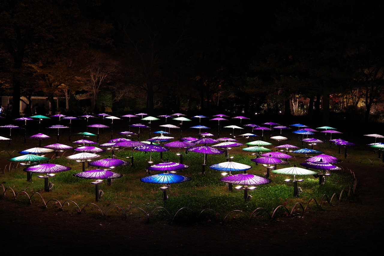 東京都の国営昭和記念公園の日本庭園の紅葉のライトアップ