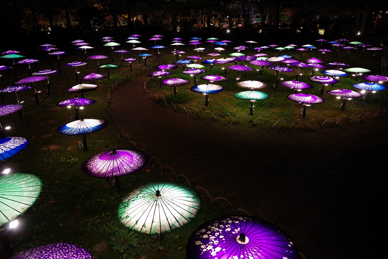 東京都の国営昭和記念公園の日本庭園の紅葉のライトアップ