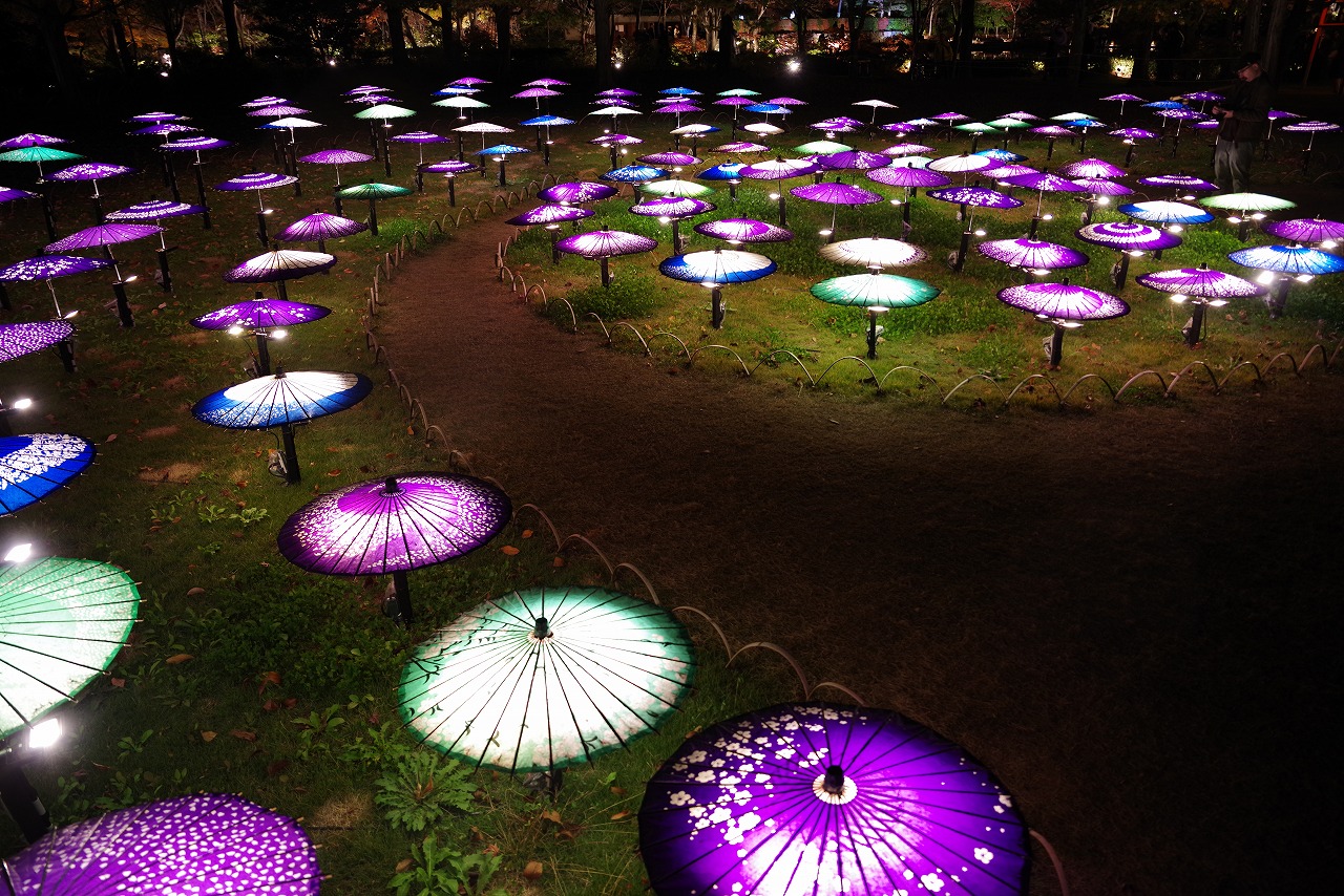 東京都の国営昭和記念公園の日本庭園の紅葉のライトアップ