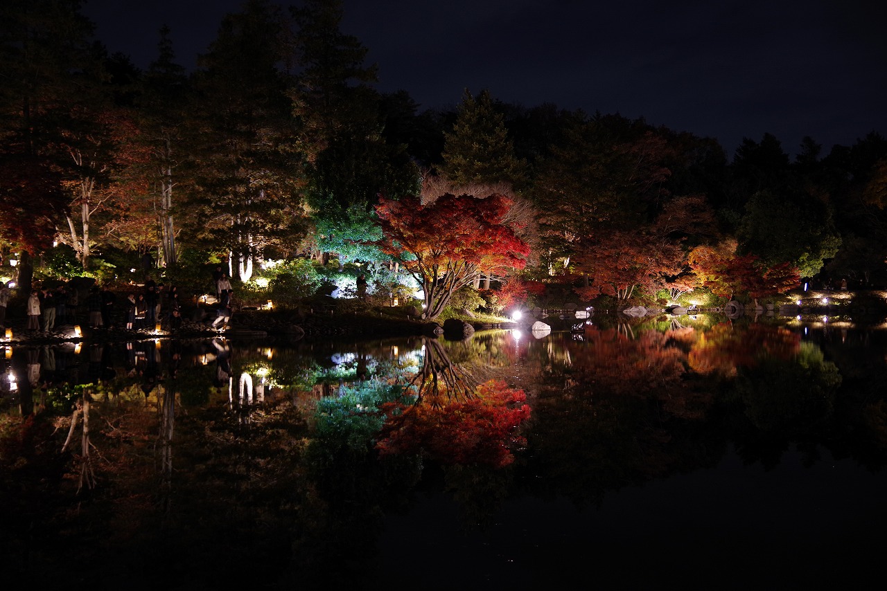 東京都の国営昭和記念公園の日本庭園の紅葉のライトアップ