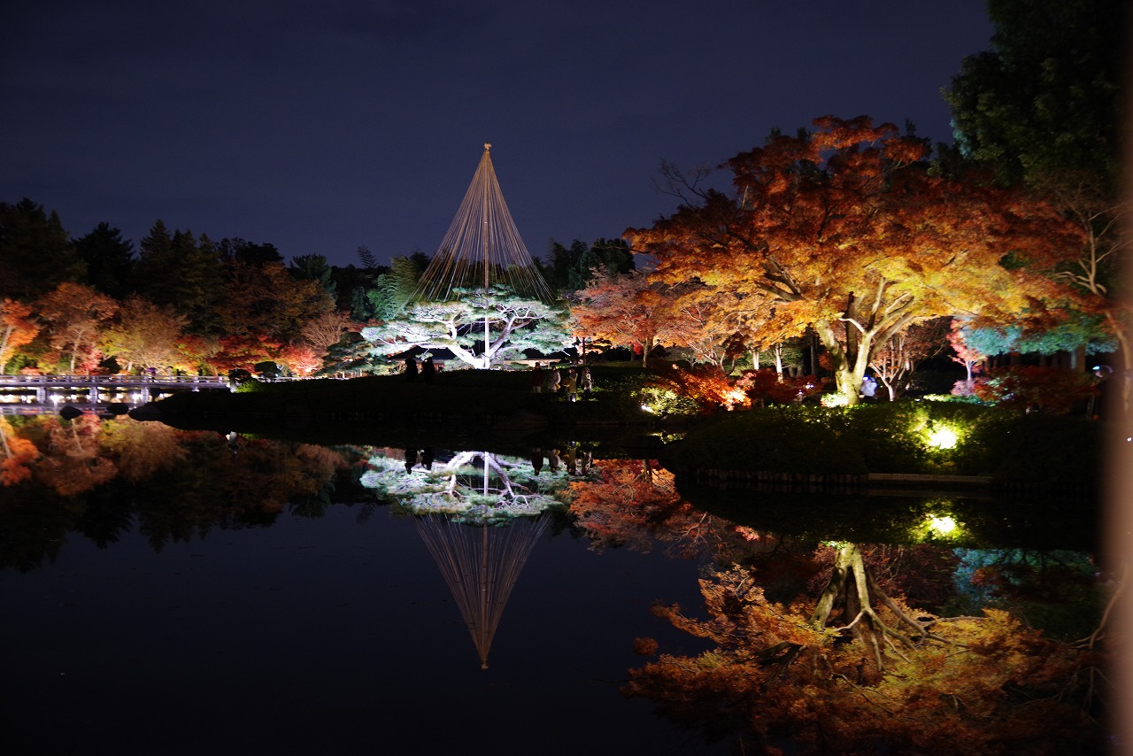 東京都の国営昭和記念公園の日本庭園の紅葉のライトアップ