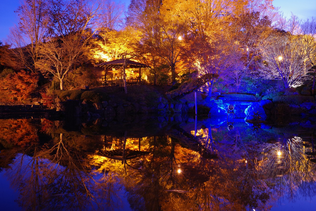 群馬県藤岡市の桜山公園の夜景