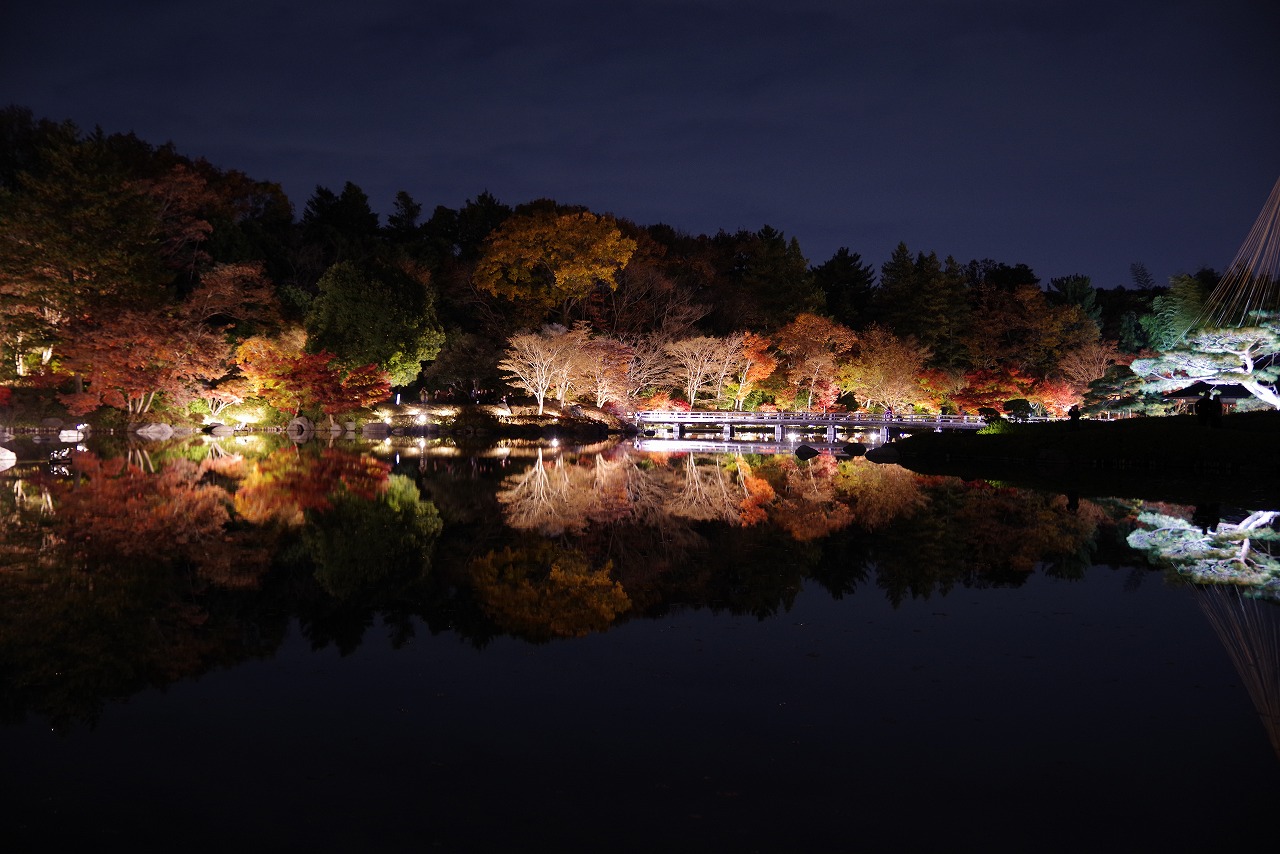 東京都の国営昭和記念公園の日本庭園の紅葉のライトアップ