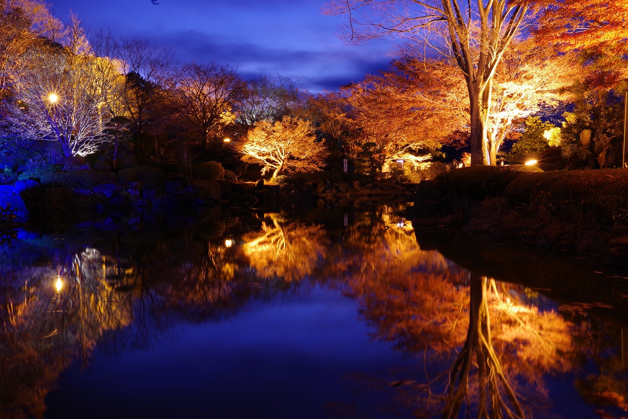 群馬県藤岡市の桜山公園の夜景