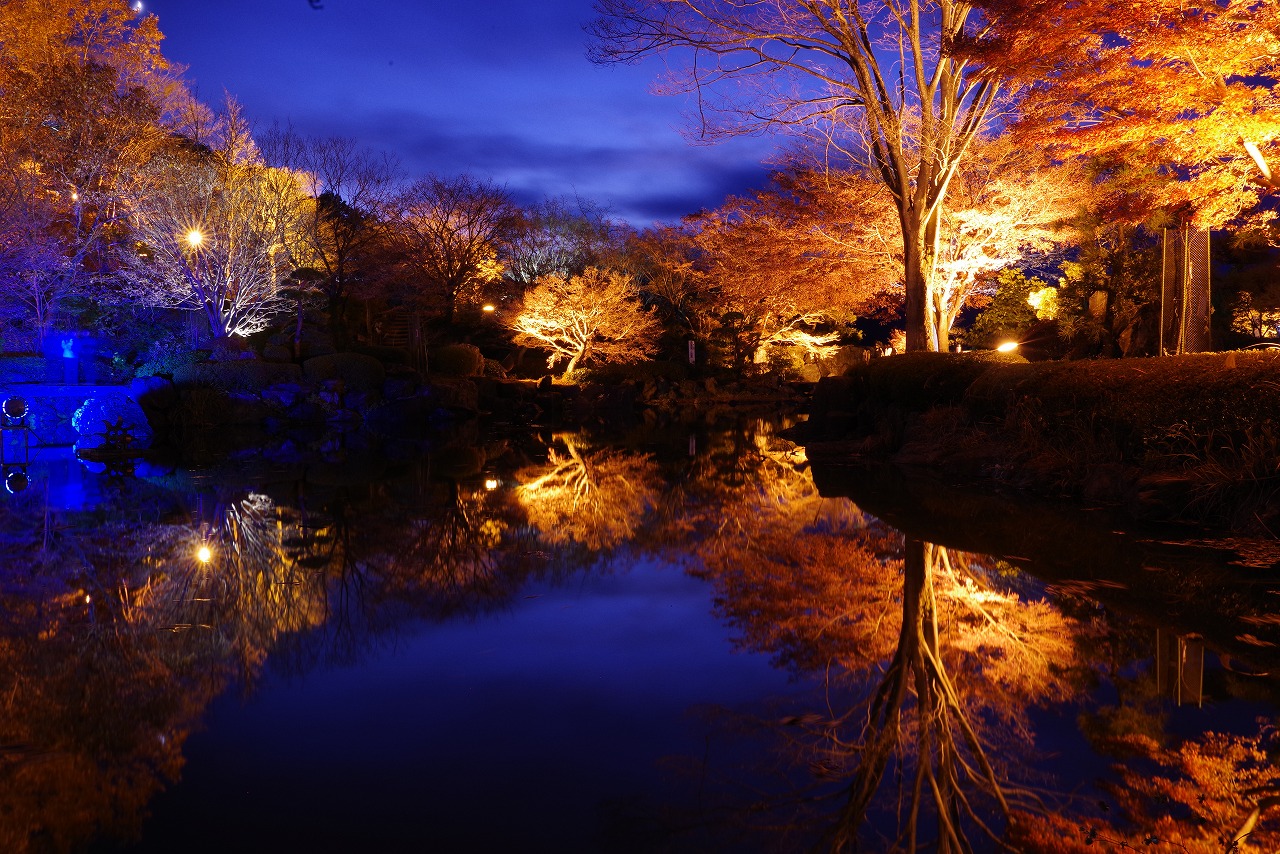 群馬県藤岡市の桜山公園の夜景