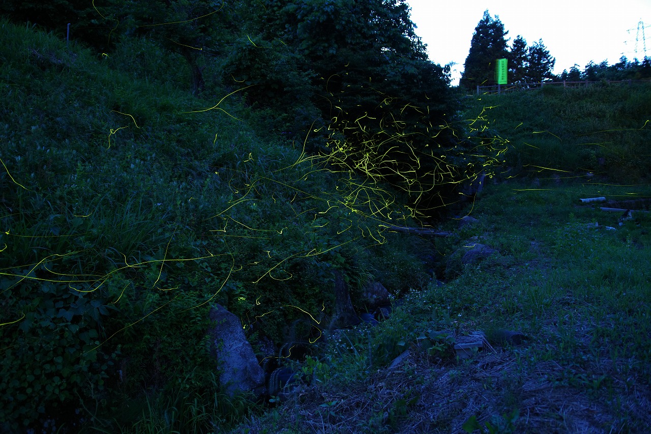 群馬県のみなかみ町の月夜野ホタルの里