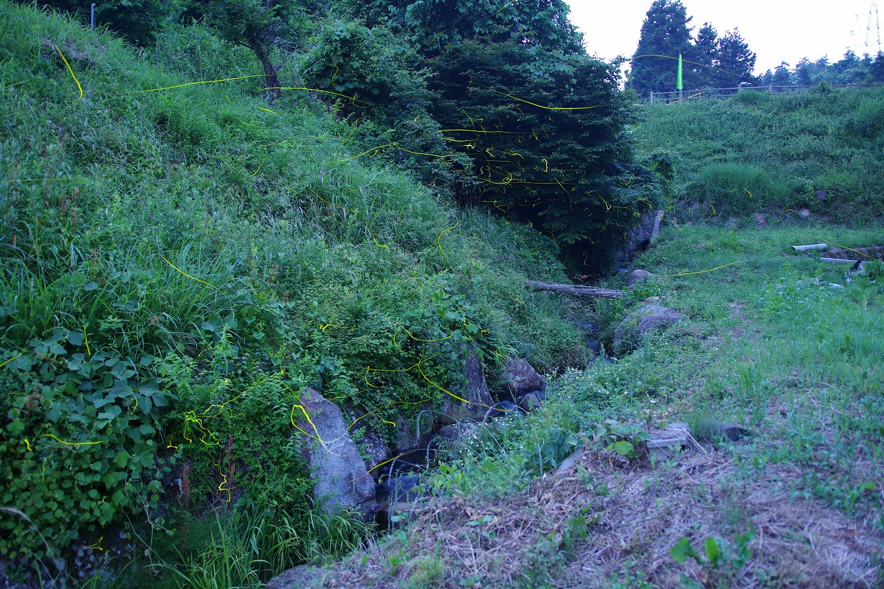 群馬県のみなかみ町の月夜野ホタルの里