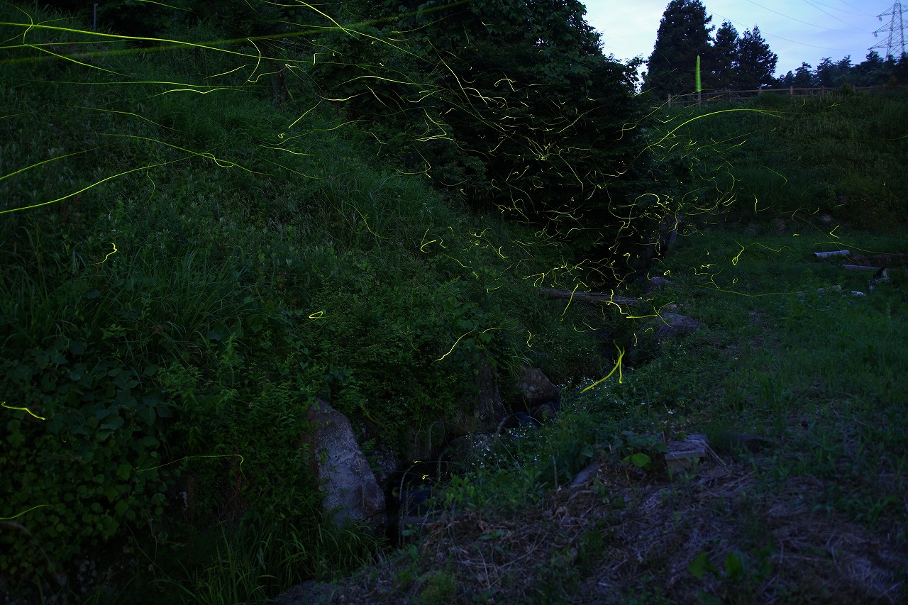 群馬県のみなかみ町の月夜野ホタルの里