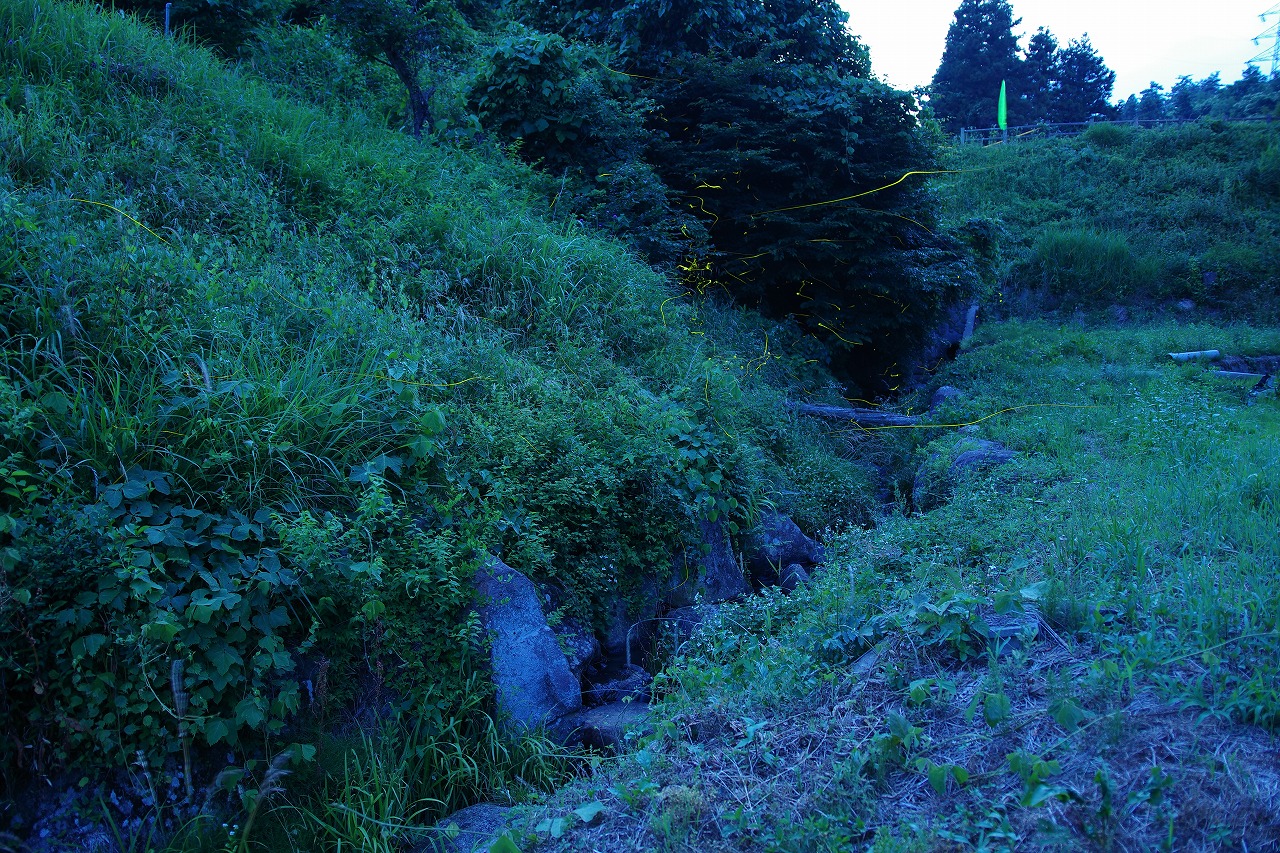群馬県のみなかみ町の月夜野ホタルの里