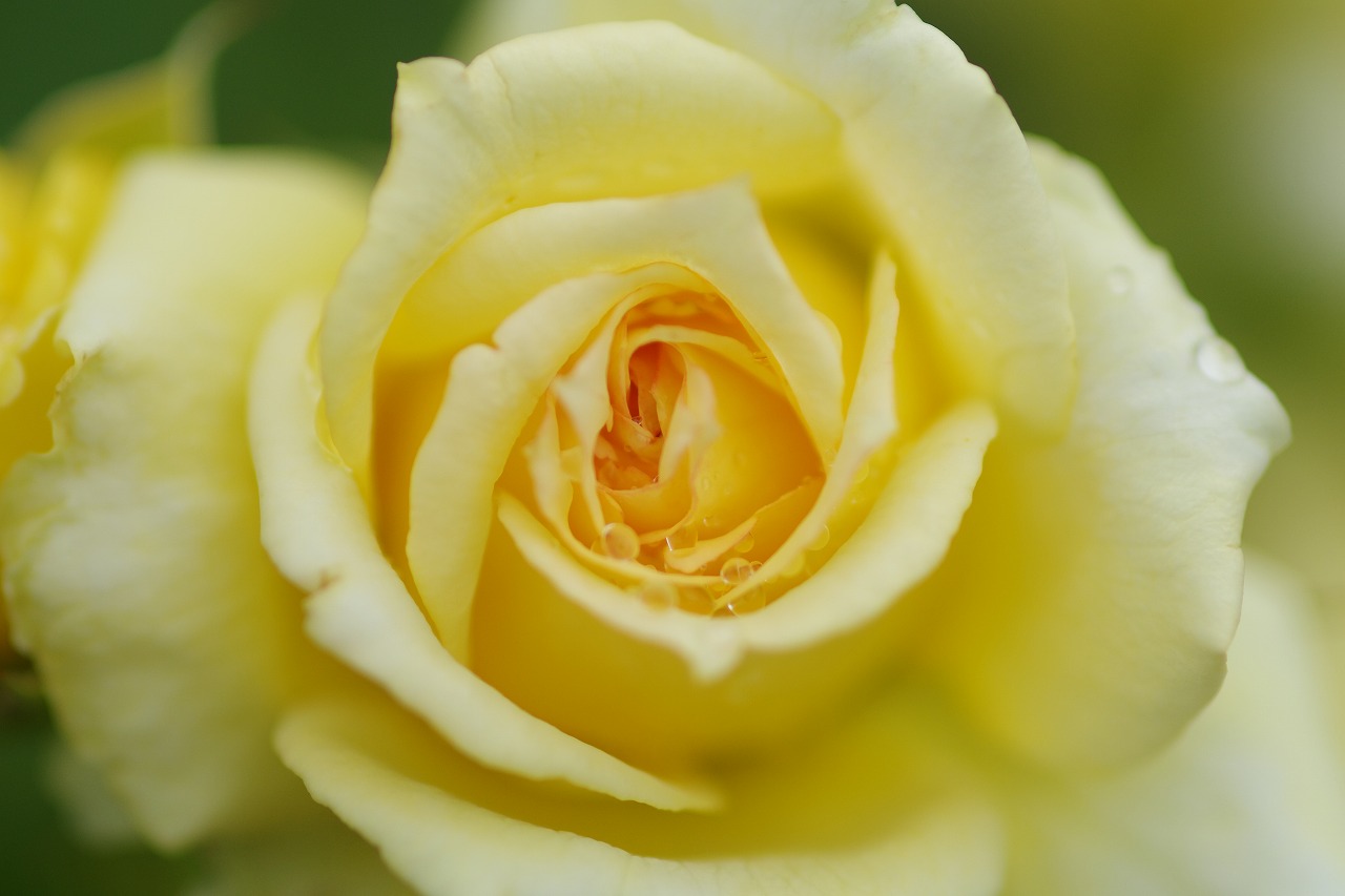 群馬県の赤城山の大沼