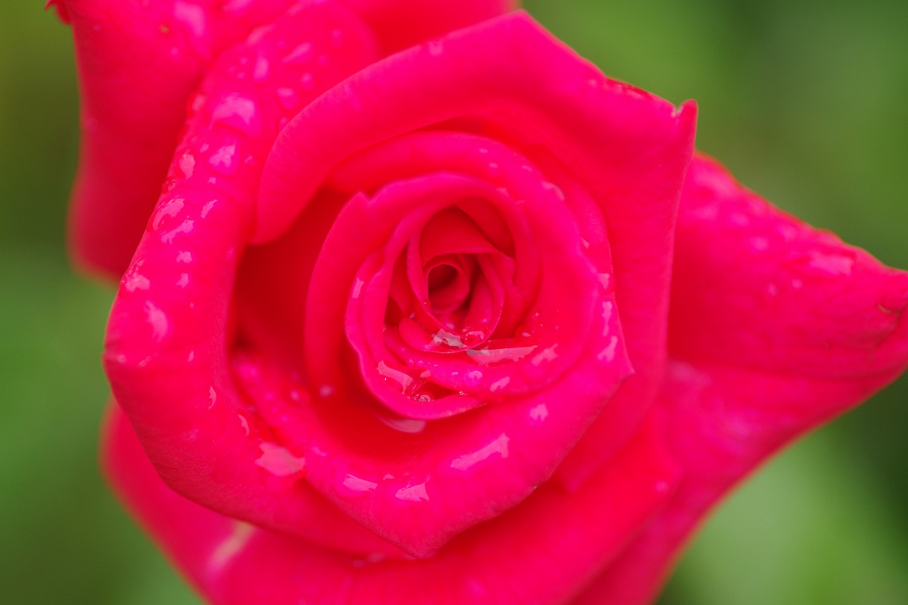 群馬県の赤城山の大沼