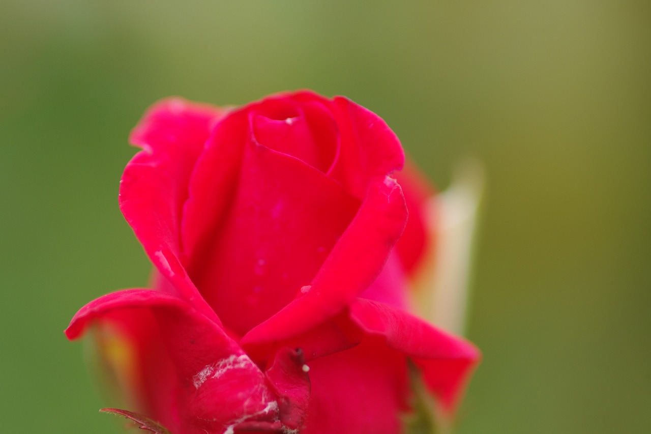 群馬県の赤城山の大沼