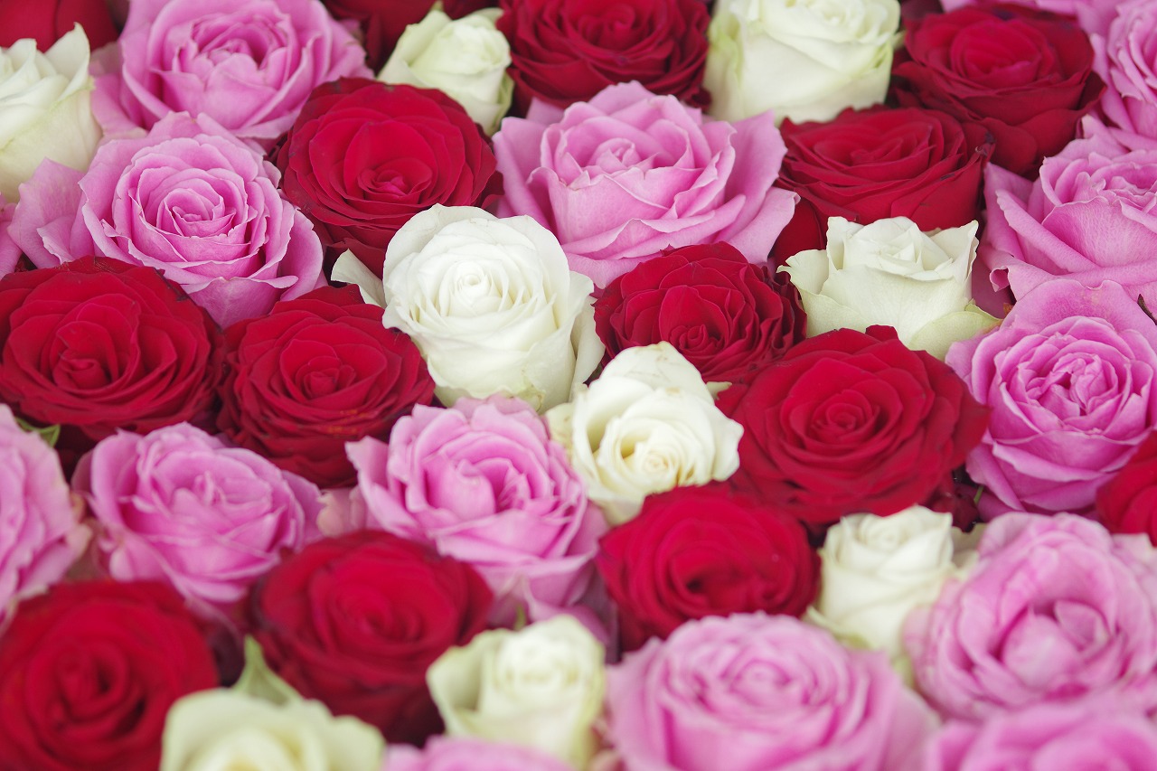 栃木県足利市のあしかがフラワーパークの花々