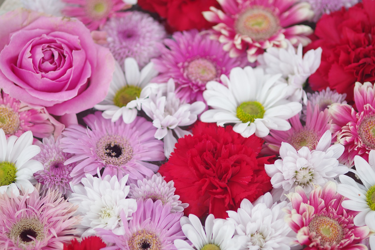 栃木県足利市のあしかがフラワーパークの花々