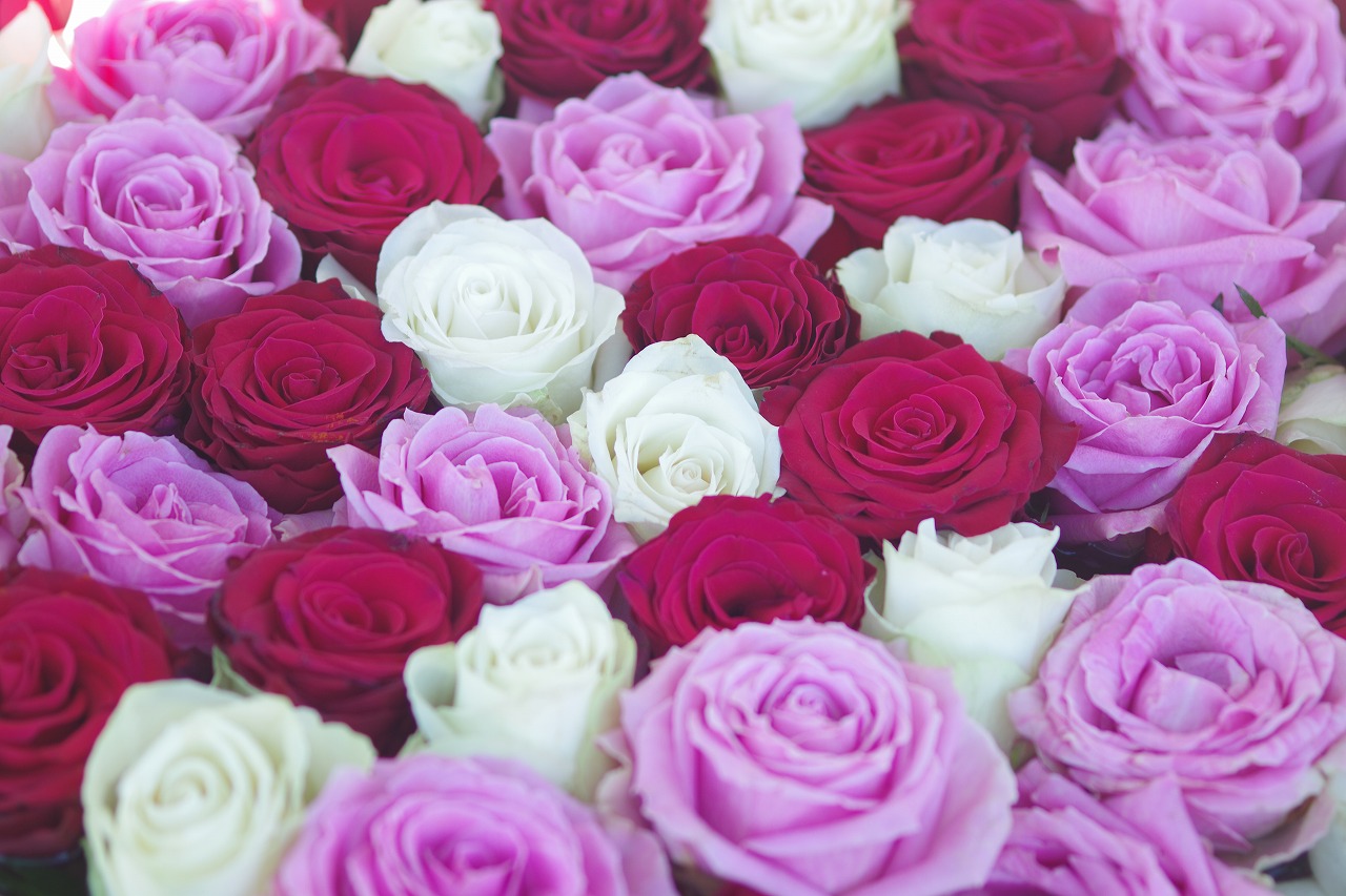 栃木県足利市のあしかがフラワーパークの花々