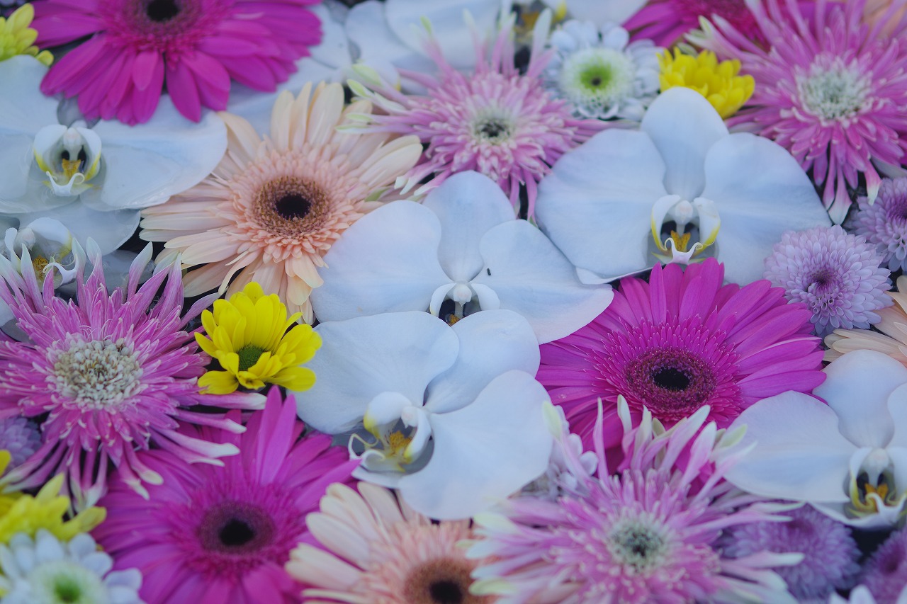 栃木県足利市のあしかがフラワーパークの花々