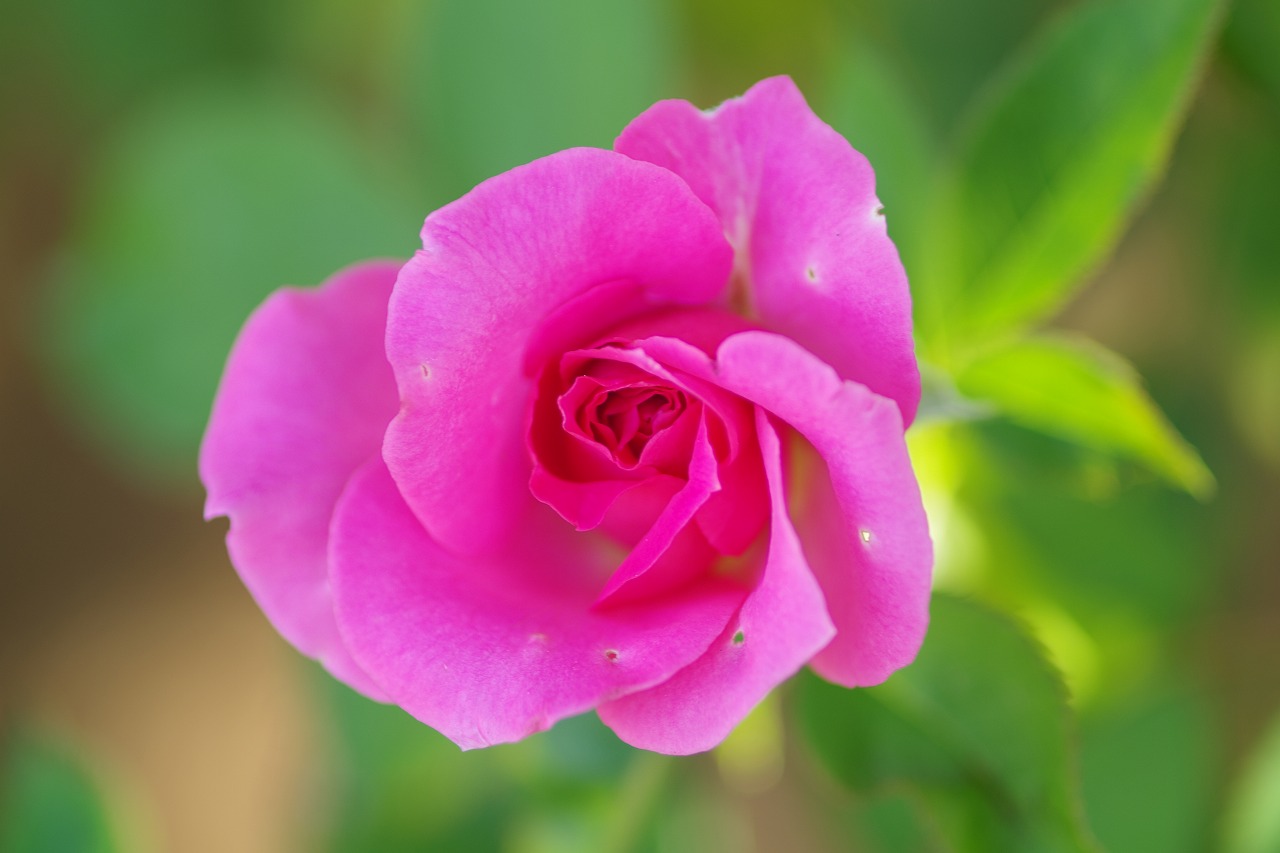 神奈川県横浜市のみなとみらいの夜景