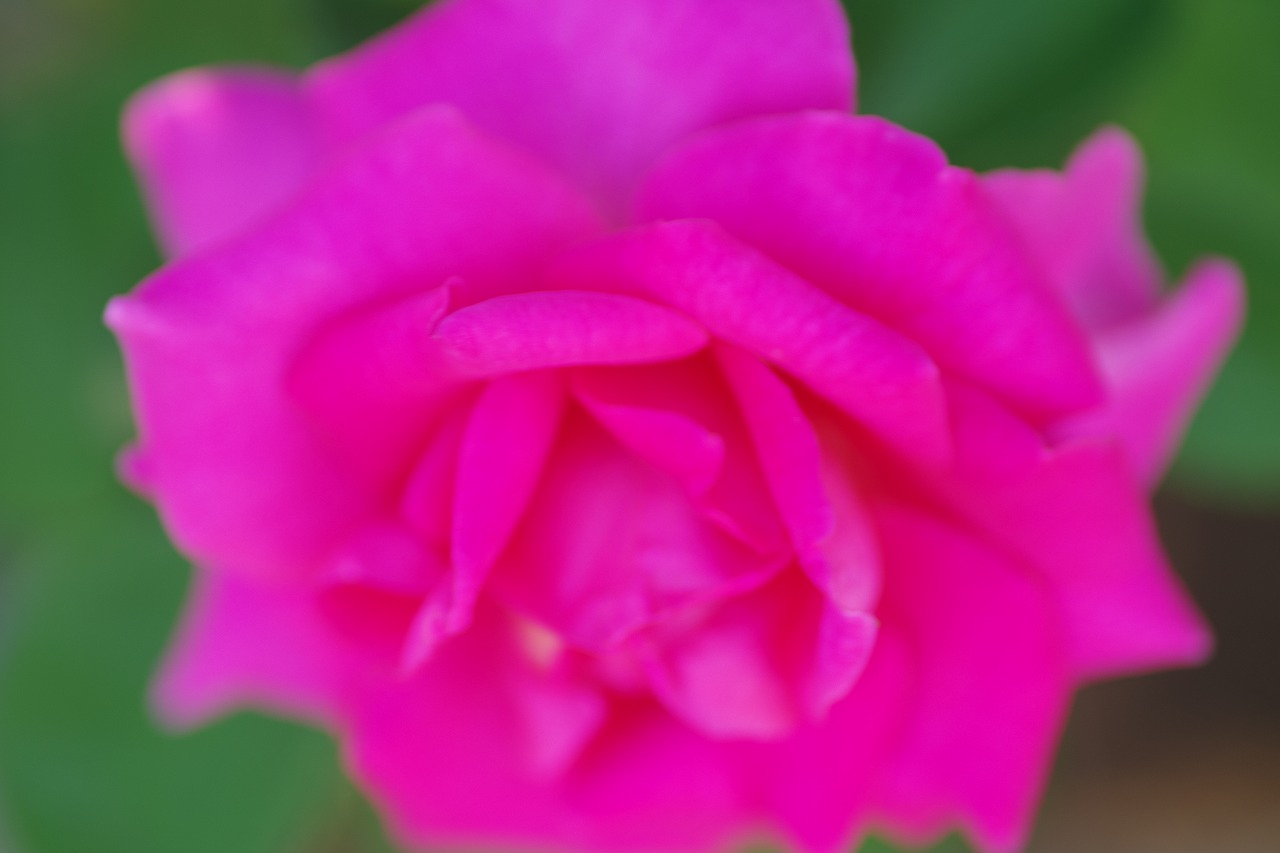 神奈川県横浜市のみなとみらいの夜景