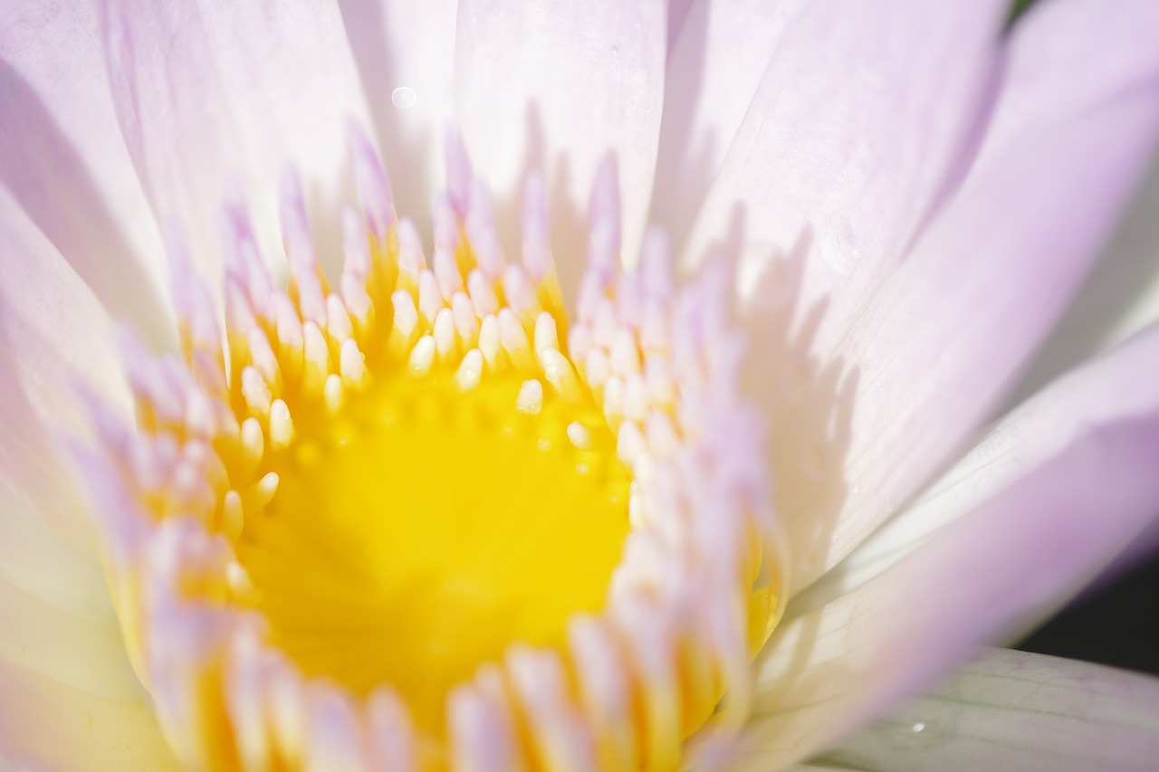 神奈川県横浜市のみなとみらいの夜景