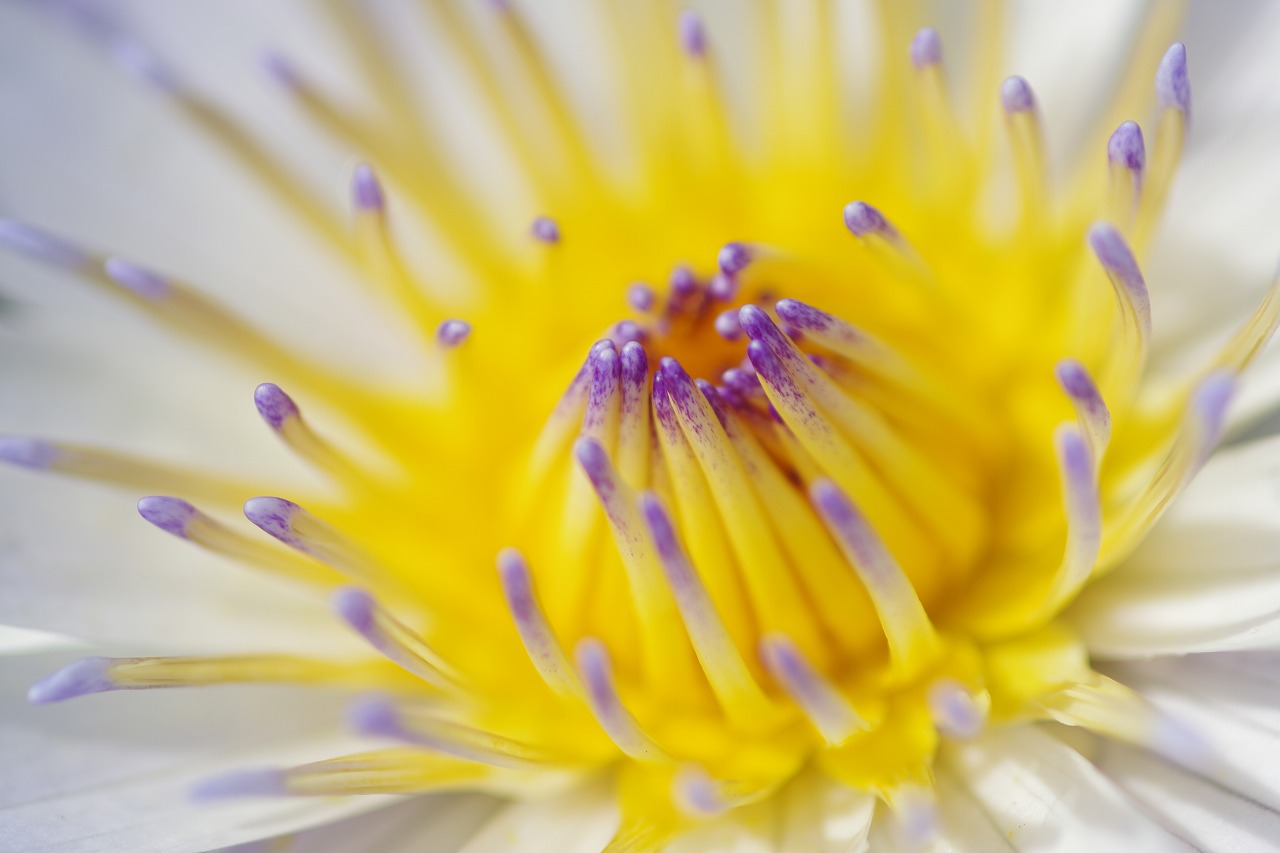 神奈川県横浜市のみなとみらいの夜景