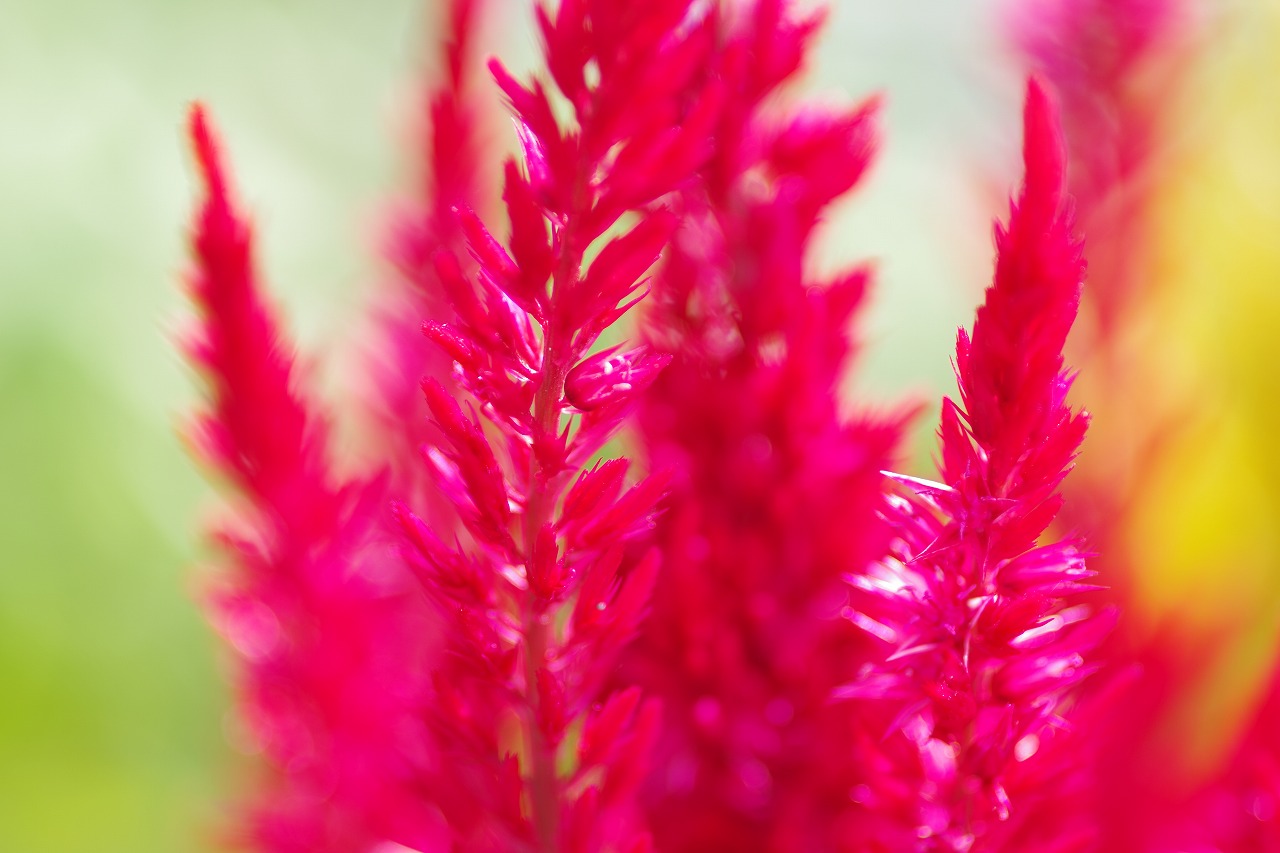 神奈川県横浜市のみなとみらいの夜景