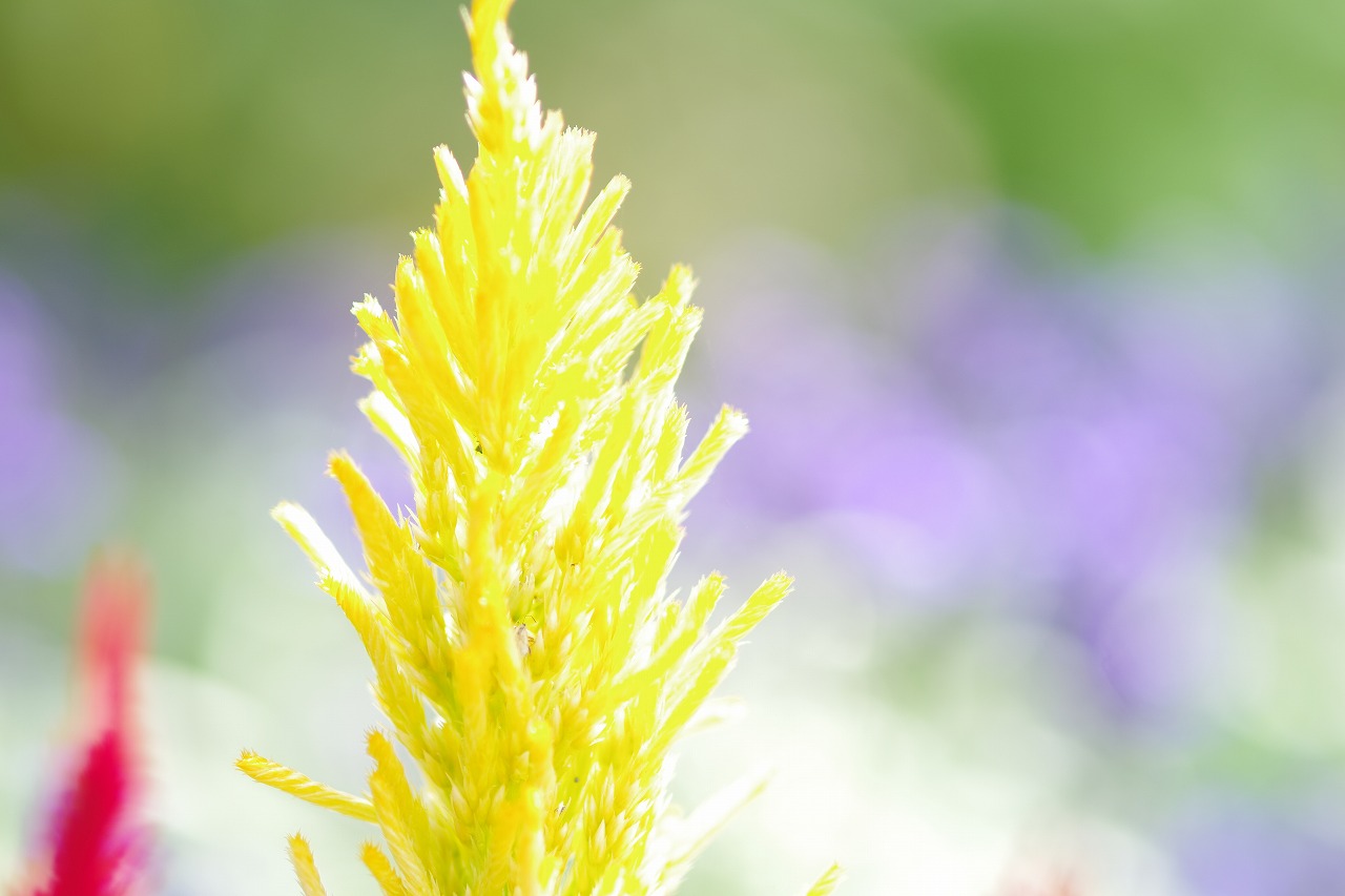 神奈川県横浜市のみなとみらいの夜景