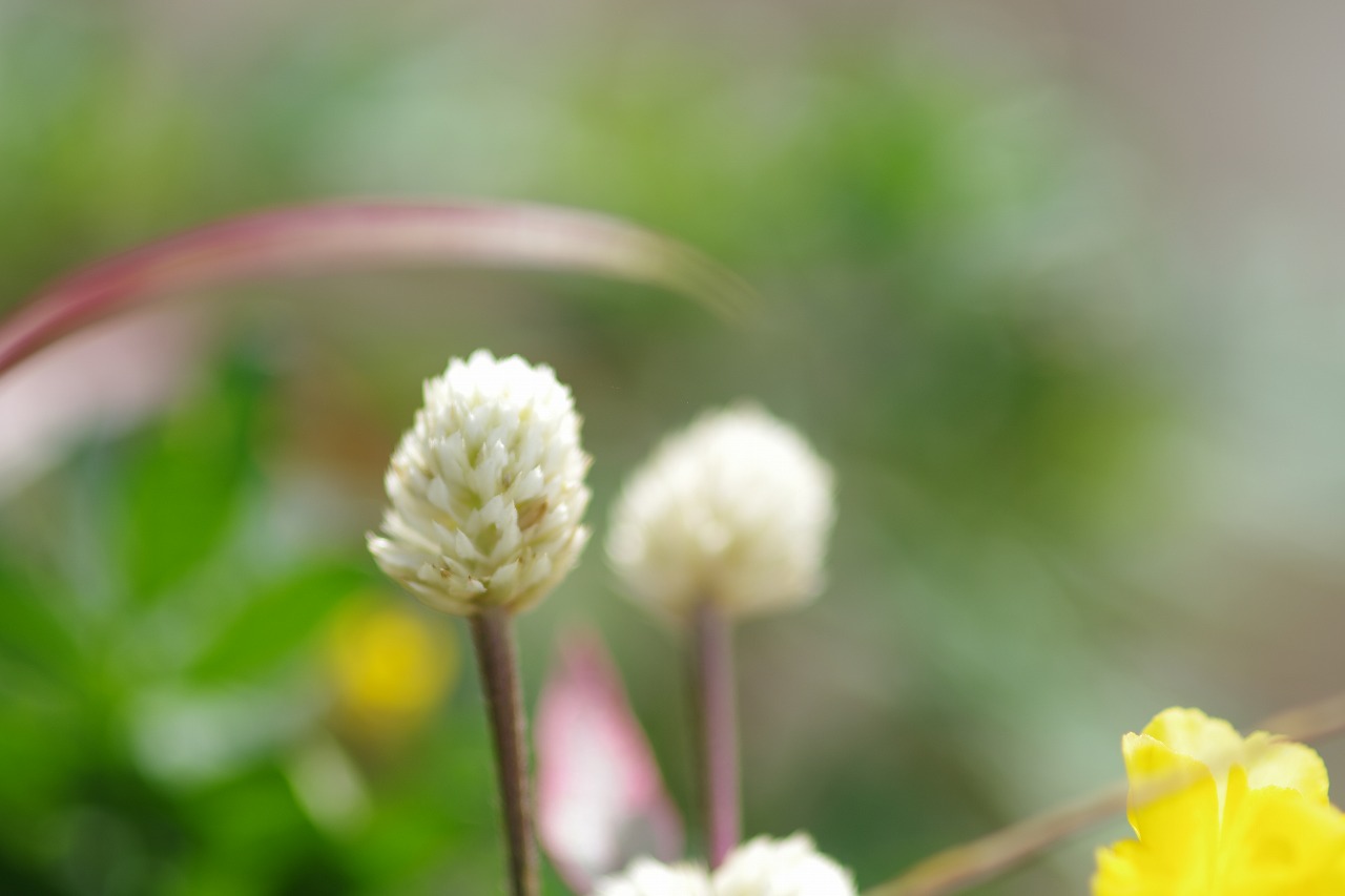 神奈川県横浜市のみなとみらいの夜景