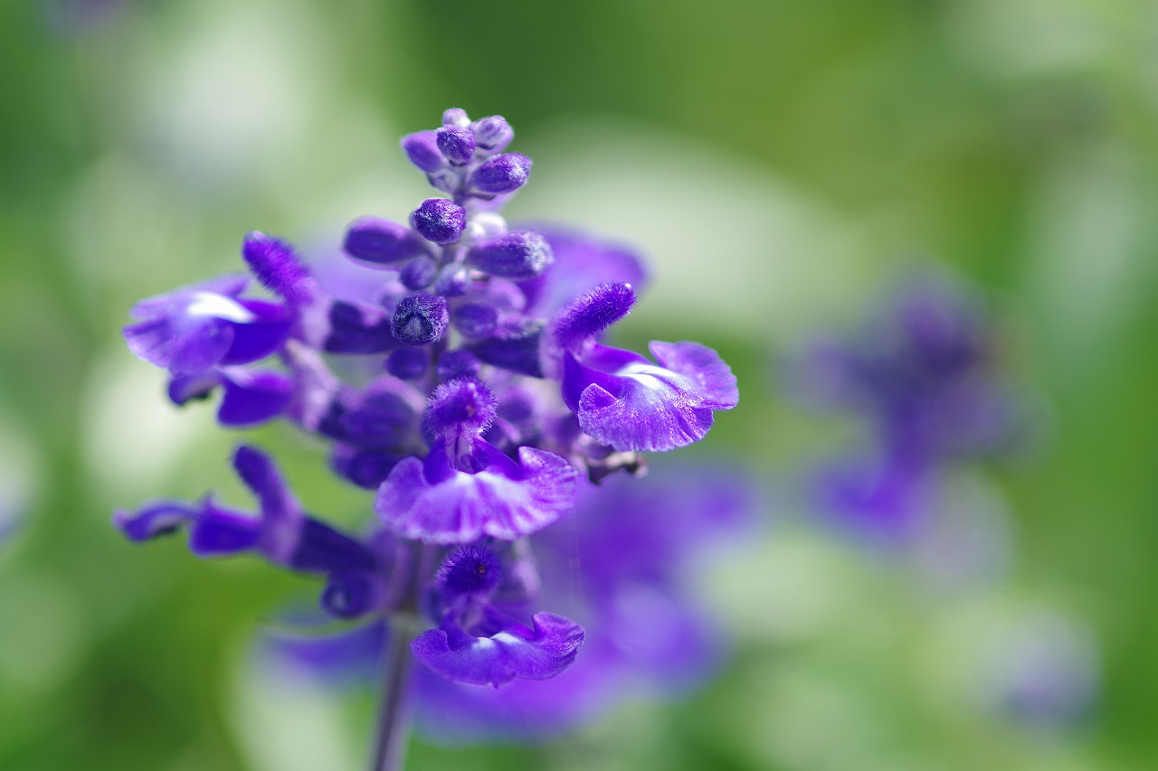神奈川県横浜市のみなとみらいの夜景