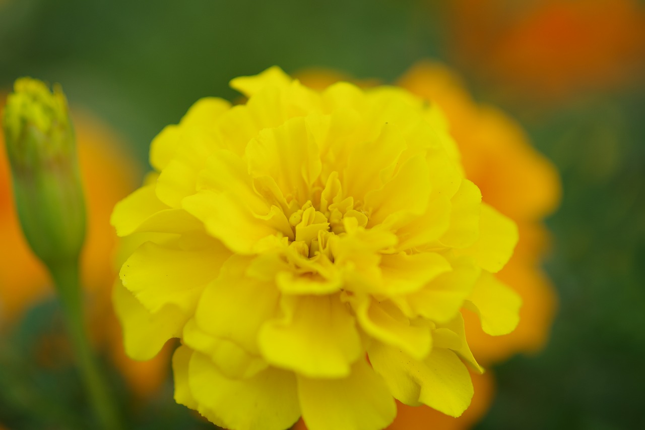 神奈川県横浜市のみなとみらいの夜景