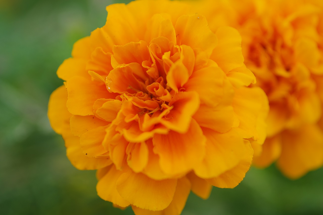 神奈川県横浜市のみなとみらいの夜景