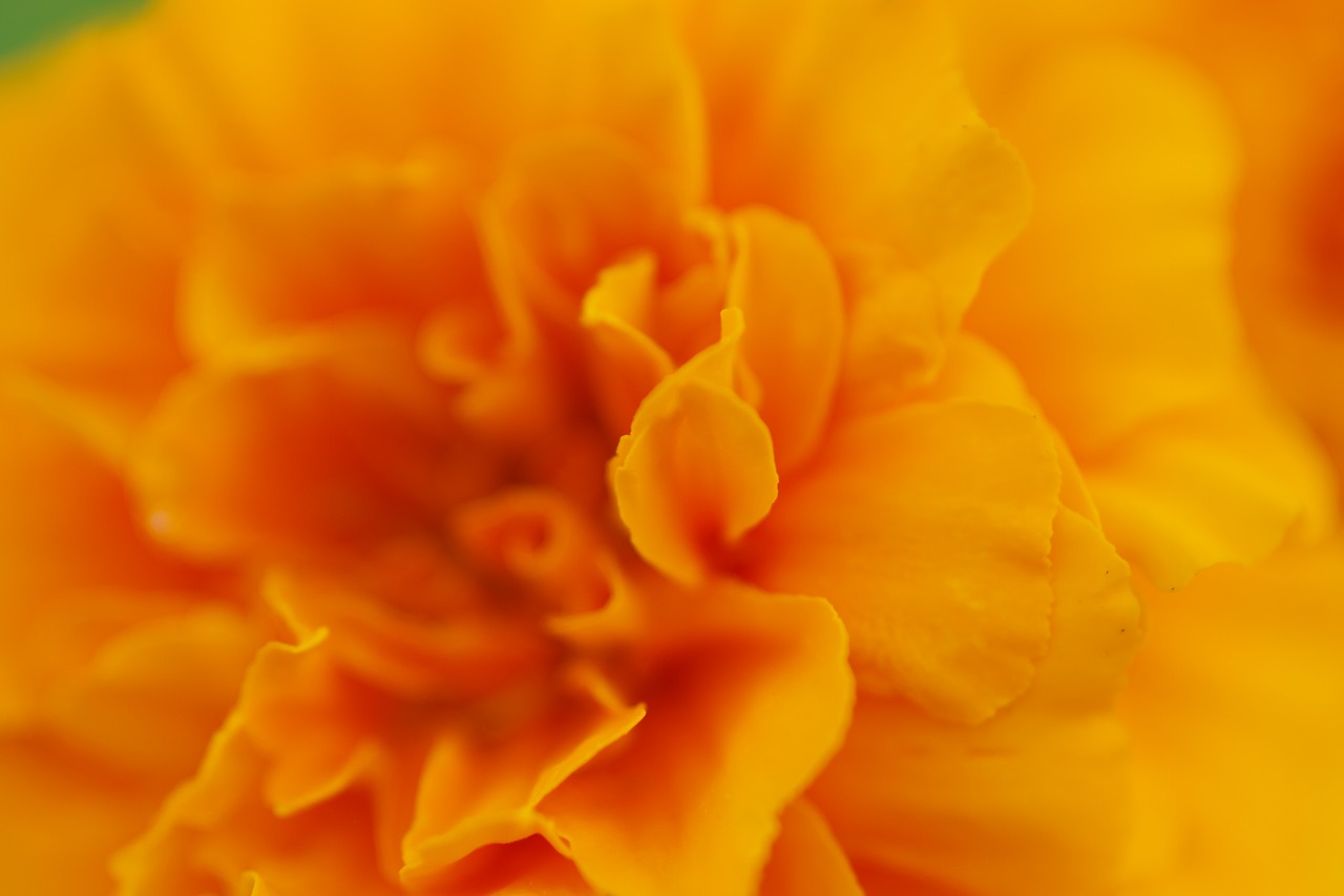 神奈川県横浜市のみなとみらいの夜景