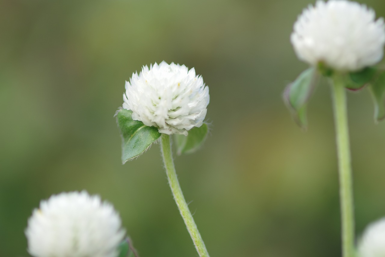 神奈川県横浜市のみなとみらいの夜景