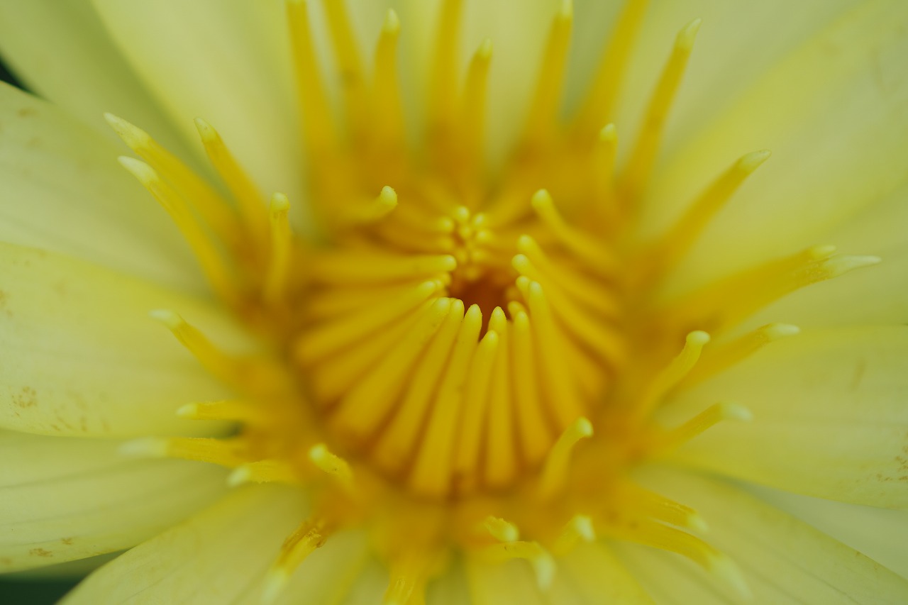 神奈川県横浜市のみなとみらいの夜景