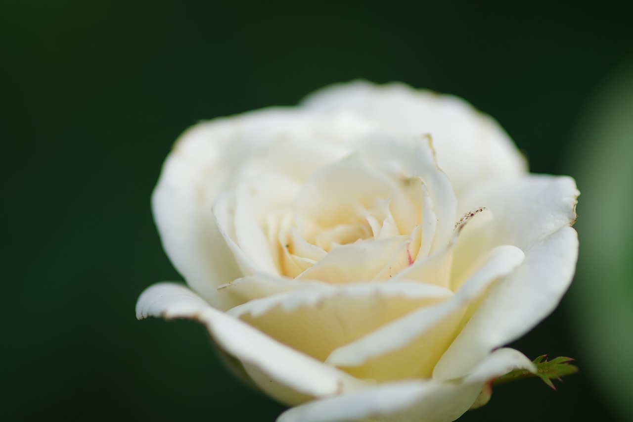 神奈川県横浜市のみなとみらいの夜景