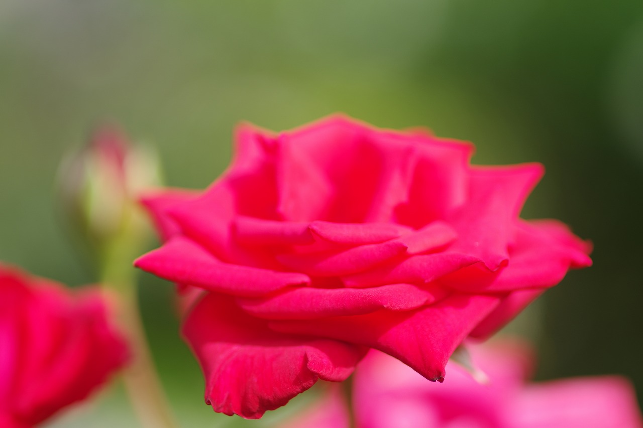 神奈川県横浜市のみなとみらいの夜景