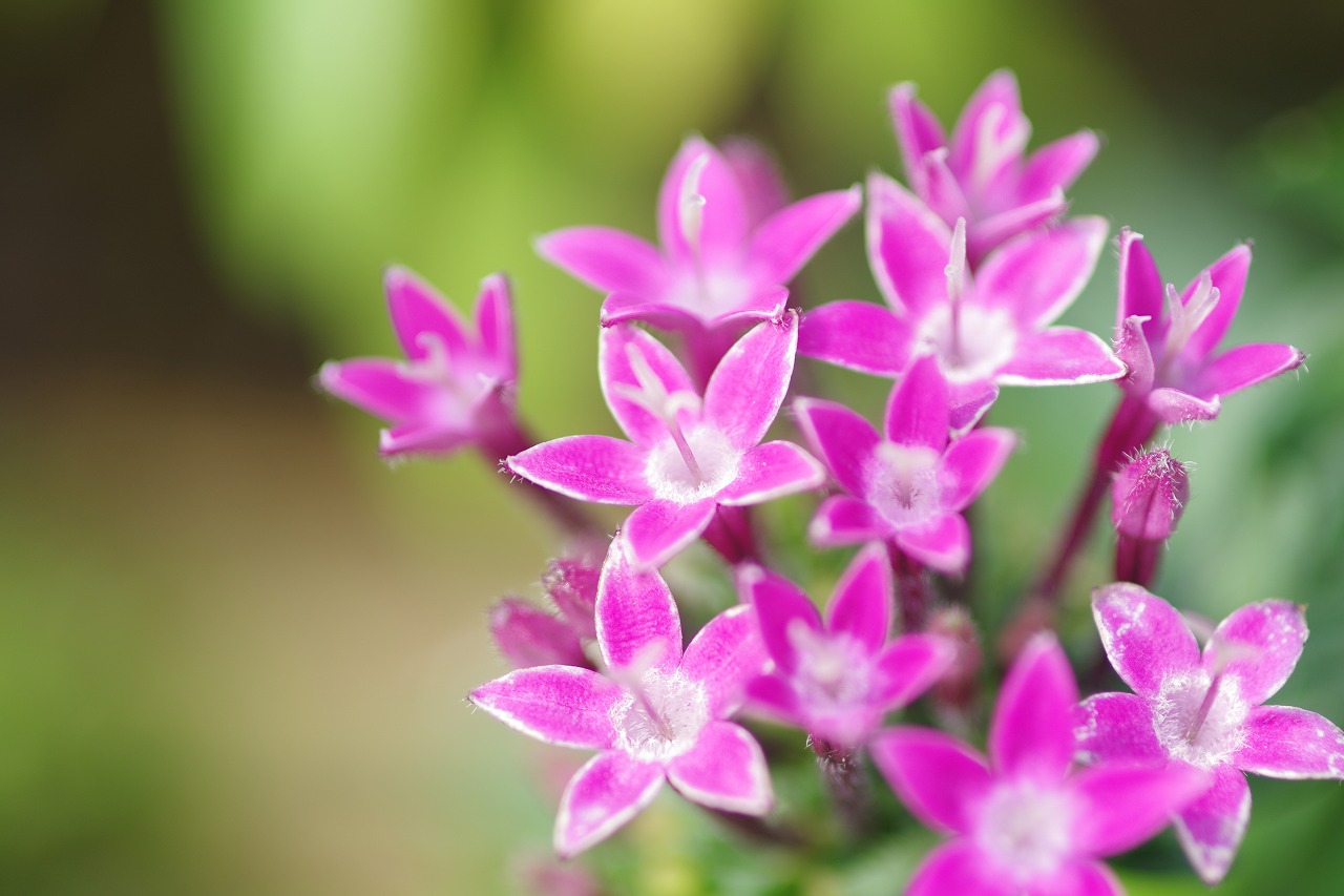 神奈川県横浜市のみなとみらいの夜景