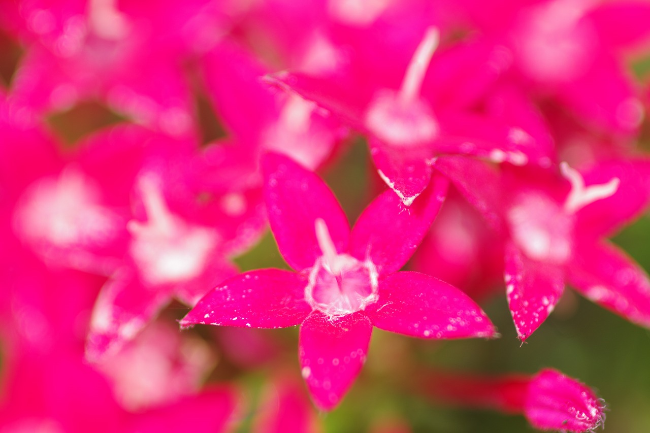神奈川県横浜市のみなとみらいの夜景