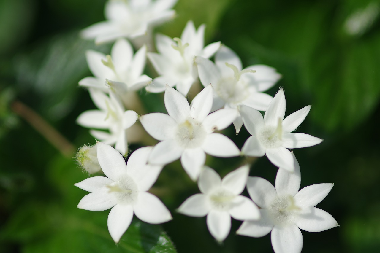 神奈川県横浜市のみなとみらいの夜景