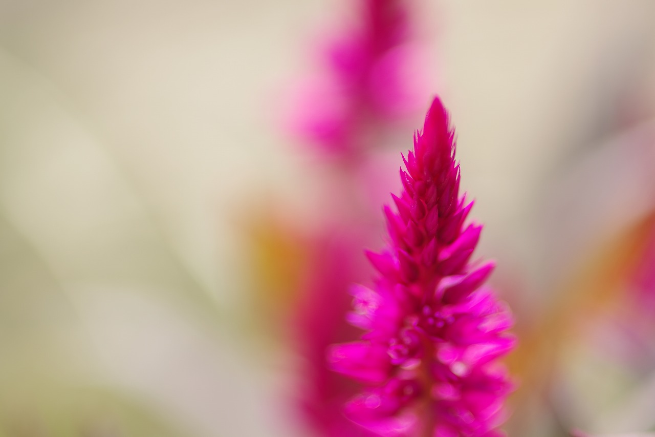 神奈川県横浜市のみなとみらいの夜景