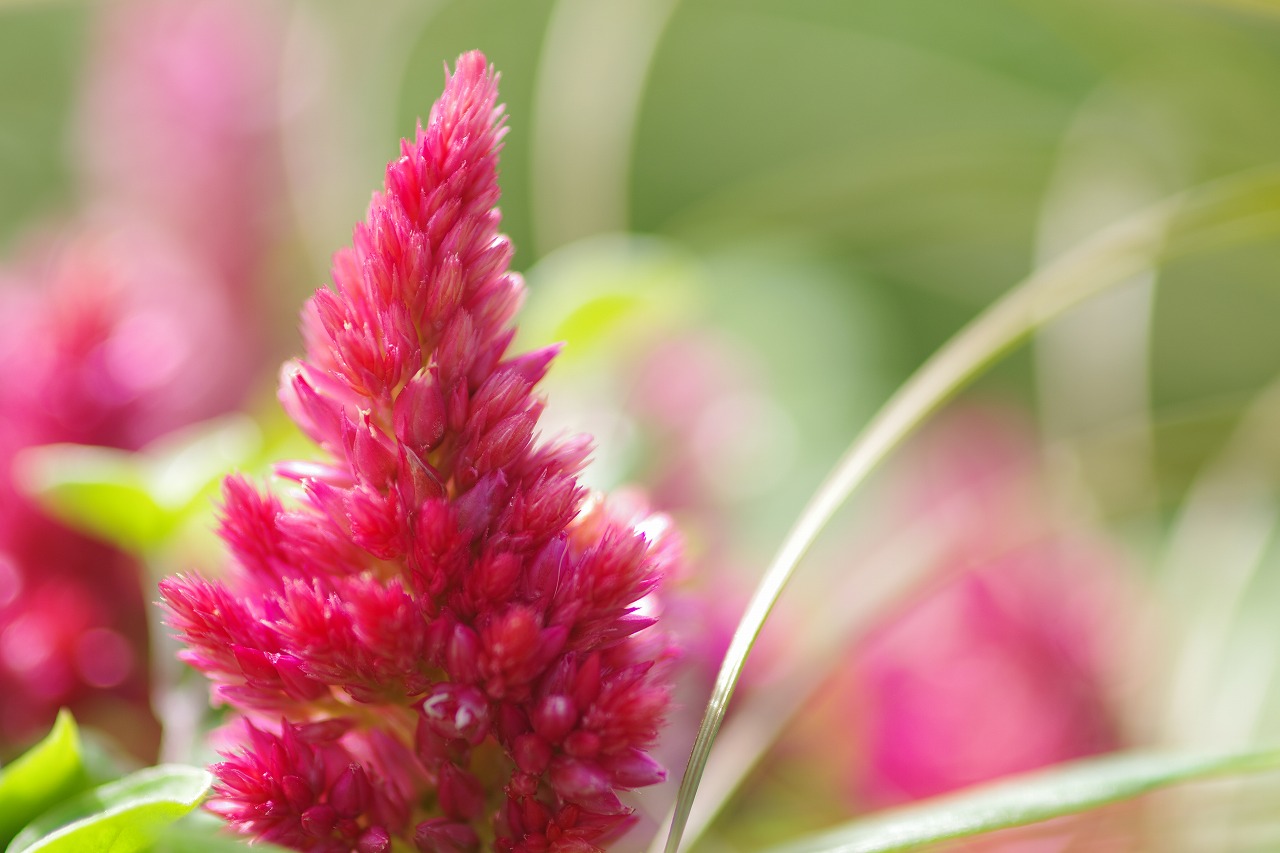 神奈川県横浜市のみなとみらいの夜景