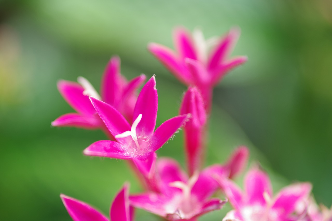 神奈川県横浜市のみなとみらいの夜景