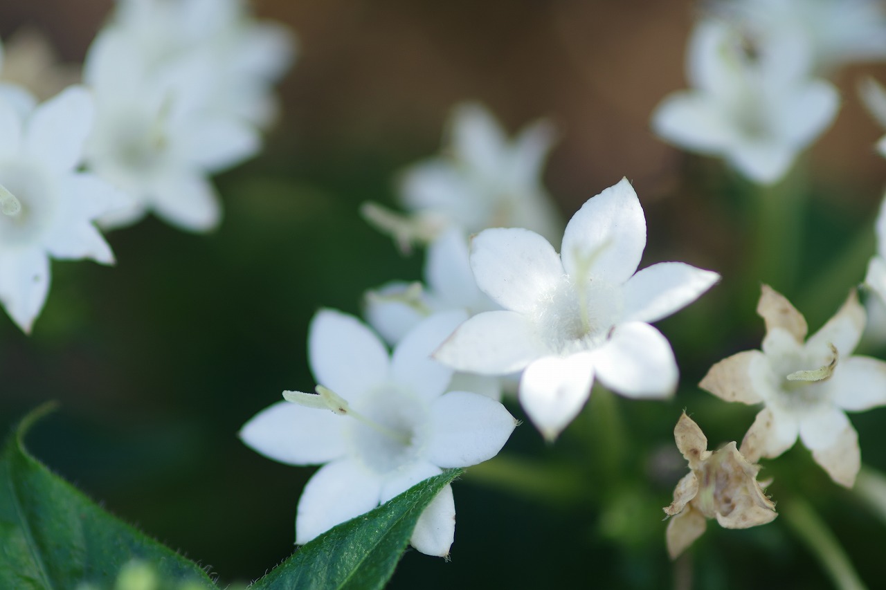 神奈川県横浜市のみなとみらいの夜景