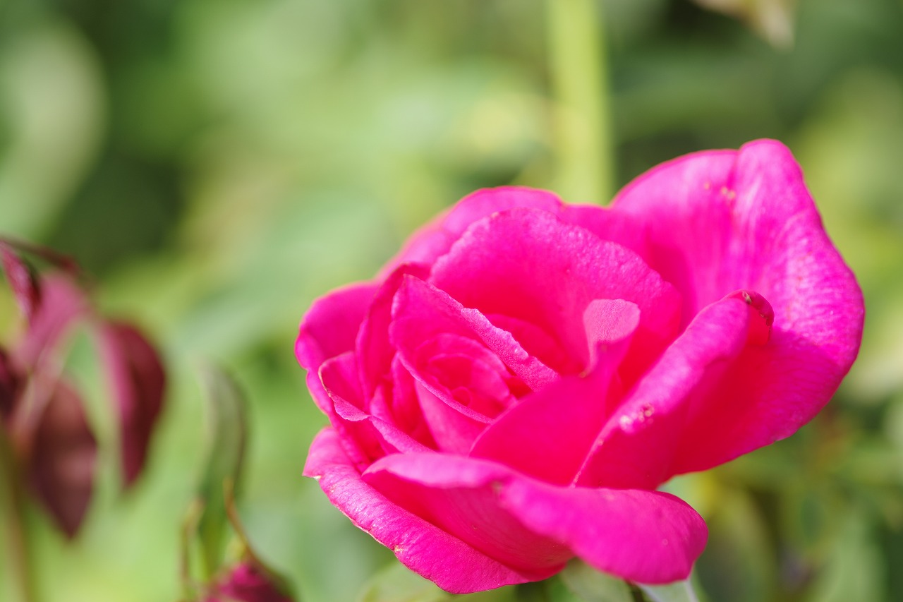 神奈川県横浜市のみなとみらいの夜景